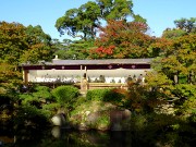 074  Sorakuen Garden.JPG
